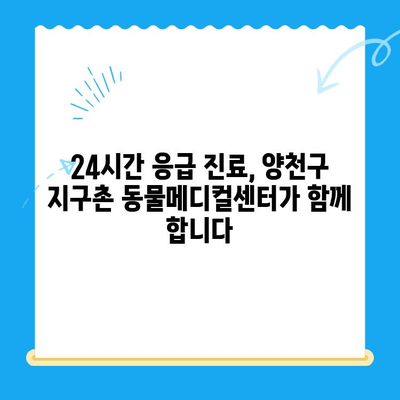 양천구 24시 지구촌 동물메디컬센터 청색증 응급 진료 기록| 반려동물 응급 상황 대처 가이드 | 동물병원, 응급실, 청색증, 반려동물 건강