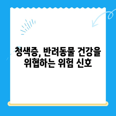 양천구 24시 지구촌 동물메디컬센터 청색증 응급 진료 기록| 반려동물 응급 상황 대처 가이드 | 동물병원, 응급실, 청색증, 반려동물 건강