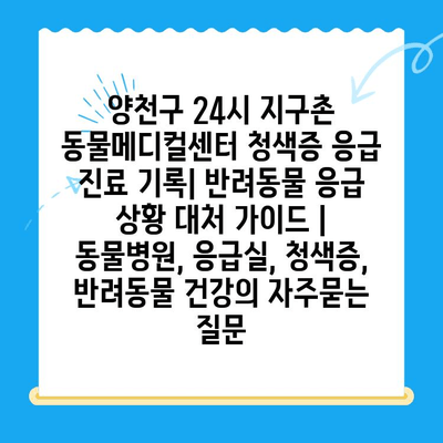 양천구 24시 지구촌 동물메디컬센터 청색증 응급 진료 기록| 반려동물 응급 상황 대처 가이드 | 동물병원, 응급실, 청색증, 반려동물 건강