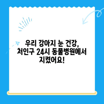 강아지 안과 검진 경험담| 처인구 24시 병원에서 안과 검진 후기 | 강아지 안과 질환, 눈 건강, 처인구 동물병원 추천