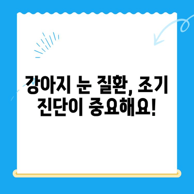 강아지 안과 검진 경험담| 처인구 24시 병원에서 안과 검진 후기 | 강아지 안과 질환, 눈 건강, 처인구 동물병원 추천