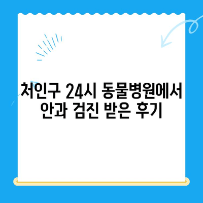 강아지 안과 검진 경험담| 처인구 24시 병원에서 안과 검진 후기 | 강아지 안과 질환, 눈 건강, 처인구 동물병원 추천