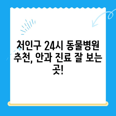 강아지 안과 검진 경험담| 처인구 24시 병원에서 안과 검진 후기 | 강아지 안과 질환, 눈 건강, 처인구 동물병원 추천