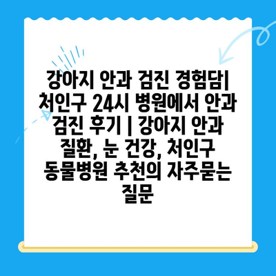 강아지 안과 검진 경험담| 처인구 24시 병원에서 안과 검진 후기 | 강아지 안과 질환, 눈 건강, 처인구 동물병원 추천