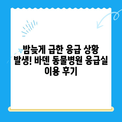 광주 바덴 동물메디컬센터 건강검진 & 응급실 후기| 솔직한 경험 공유 | 반려동물, 건강검진, 응급의료, 광주 동물병원