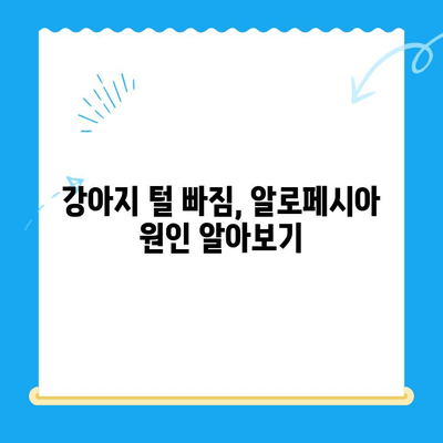 일산 고양 화정동 24시 탑케어 동물병원| 강아지 알로페시아 피부 검사, 갑상선 기능 저하증 T4 확인 | 알로페시아 원인, 치료, 갑상선 기능 검사