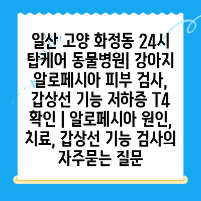 일산 고양 화정동 24시 탑케어 동물병원| 강아지 알로페시아 피부 검사, 갑상선 기능 저하증 T4 확인 | 알로페시아 원인, 치료, 갑상선 기능 검사