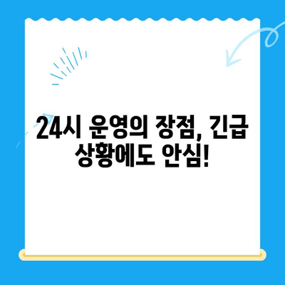 노원구 24시 동물병원 강아지 건강검진 후기| 솔직한 경험 공유 | 노원구, 동물병원, 건강검진, 강아지, 후기