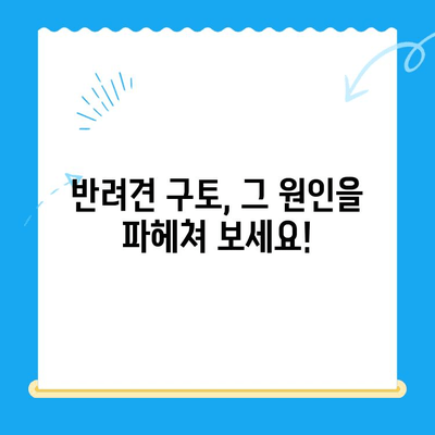 반려견 구토, 원인부터 24시간 MRI 치료까지! | 구토 원인, 치료비, 응급처치, 진료 가이드