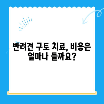 반려견 구토, 원인부터 24시간 MRI 치료까지! | 구토 원인, 치료비, 응급처치, 진료 가이드