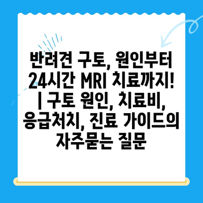 반려견 구토, 원인부터 24시간 MRI 치료까지! | 구토 원인, 치료비, 응급처치, 진료 가이드