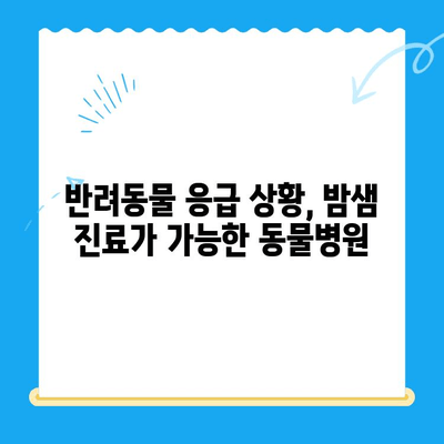 밤샘 응급 치료가 필요한 반려동물을 위한 24시간 동물병원 | 부상, 응급, 야간 진료, 반려동물