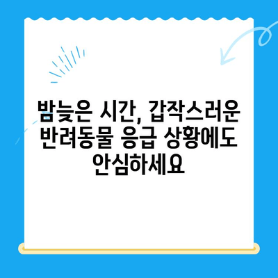 밤샘 응급 치료가 필요한 반려동물을 위한 24시간 동물병원 | 부상, 응급, 야간 진료, 반려동물