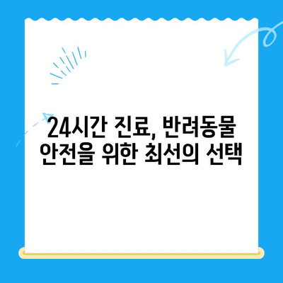 밤샘 응급 치료가 필요한 반려동물을 위한 24시간 동물병원 | 부상, 응급, 야간 진료, 반려동물