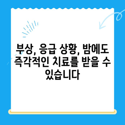 밤샘 응급 치료가 필요한 반려동물을 위한 24시간 동물병원 | 부상, 응급, 야간 진료, 반려동물