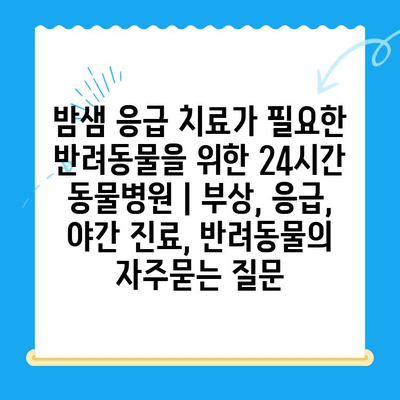 밤샘 응급 치료가 필요한 반려동물을 위한 24시간 동물병원 | 부상, 응급, 야간 진료, 반려동물