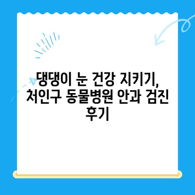 처인구 동물병원 강아지 안과 검진 후기| 저희 댕댕이 눈 건강 이야기 | 안과 검진, 눈 질환, 동물병원 추천