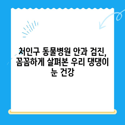 처인구 동물병원 강아지 안과 검진 후기| 저희 댕댕이 눈 건강 이야기 | 안과 검진, 눈 질환, 동물병원 추천