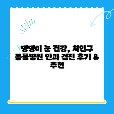 처인구 동물병원 강아지 안과 검진 후기| 저희 댕댕이 눈 건강 이야기 | 안과 검진, 눈 질환, 동물병원 추천