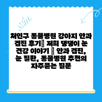 처인구 동물병원 강아지 안과 검진 후기| 저희 댕댕이 눈 건강 이야기 | 안과 검진, 눈 질환, 동물병원 추천