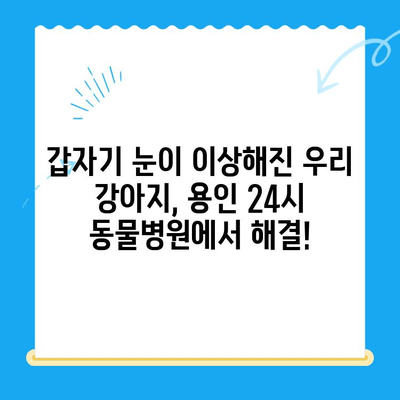 용인 24시간 동물병원 강아지 안과 검진 후기| 실제 경험 공유 | 용인, 24시 동물병원, 안과 검진, 강아지 눈 건강