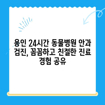 용인 24시간 동물병원 강아지 안과 검진 후기| 실제 경험 공유 | 용인, 24시 동물병원, 안과 검진, 강아지 눈 건강