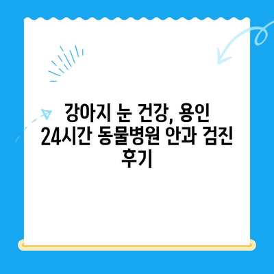 용인 24시간 동물병원 강아지 안과 검진 후기| 실제 경험 공유 | 용인, 24시 동물병원, 안과 검진, 강아지 눈 건강