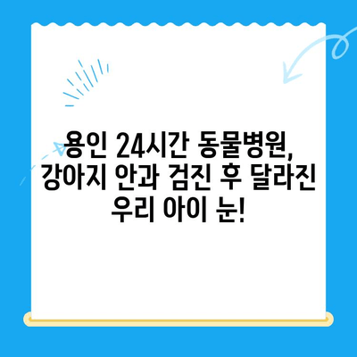 용인 24시간 동물병원 강아지 안과 검진 후기| 실제 경험 공유 | 용인, 24시 동물병원, 안과 검진, 강아지 눈 건강