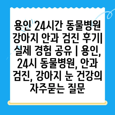 용인 24시간 동물병원 강아지 안과 검진 후기| 실제 경험 공유 | 용인, 24시 동물병원, 안과 검진, 강아지 눈 건강