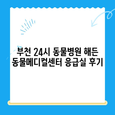 부천 24시 동물병원 해든 동물메디컬센터 응급실 후기| 실제 이용 후기 및 경험 공유 | 부천, 24시 동물병원, 응급실, 해든 동물메디컬센터