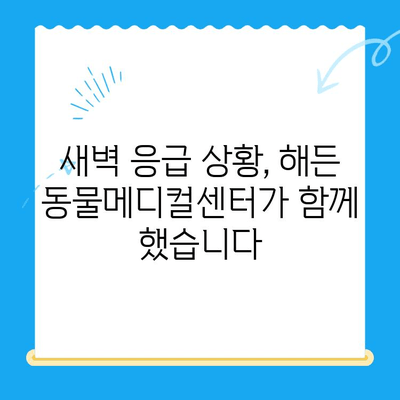 부천 24시 동물병원 해든 동물메디컬센터 응급실 후기| 실제 이용 후기 및 경험 공유 | 부천, 24시 동물병원, 응급실, 해든 동물메디컬센터