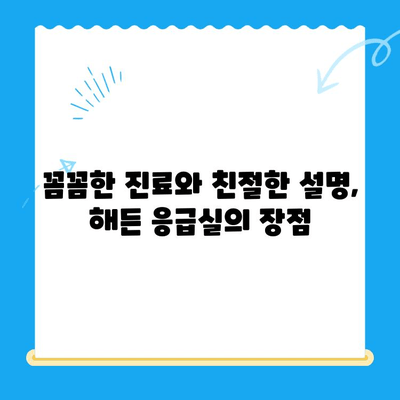 부천 24시 동물병원 해든 동물메디컬센터 응급실 후기| 실제 이용 후기 및 경험 공유 | 부천, 24시 동물병원, 응급실, 해든 동물메디컬센터