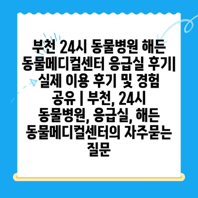 부천 24시 동물병원 해든 동물메디컬센터 응급실 후기| 실제 이용 후기 및 경험 공유 | 부천, 24시 동물병원, 응급실, 해든 동물메디컬센터