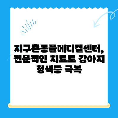 양천구 지구촌동물메디컬센터 강아지 청색증 치료 후기| 우리 아이의 기적 같은 회복 이야기 | 강아지 청색증, 지구촌동물메디컬센터, 치료 후기, 반려동물 건강