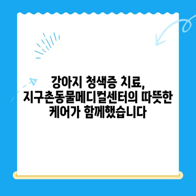 양천구 지구촌동물메디컬센터 강아지 청색증 치료 후기| 우리 아이의 기적 같은 회복 이야기 | 강아지 청색증, 지구촌동물메디컬센터, 치료 후기, 반려동물 건강