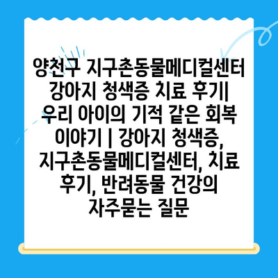 양천구 지구촌동물메디컬센터 강아지 청색증 치료 후기| 우리 아이의 기적 같은 회복 이야기 | 강아지 청색증, 지구촌동물메디컬센터, 치료 후기, 반려동물 건강