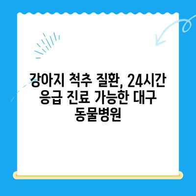 대구 24시간 강아지 디스크 전문 동물병원| [병원 이름] 디스크 검진 후기 | 강아지 디스크, 척추 질환, 24시간 응급, 대구 동물병원