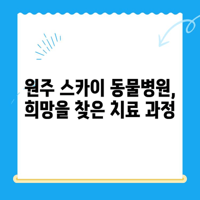 원주 24시 스카이 동물병원, 강아지 사지마비 치료 후기| 솔직한 경험 공유 | 강아지 사지마비, 재활 치료, 원주 동물병원