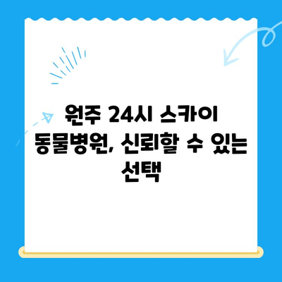 원주 24시 스카이 동물병원, 강아지 사지마비 치료 후기| 솔직한 경험 공유 | 강아지 사지마비, 재활 치료, 원주 동물병원