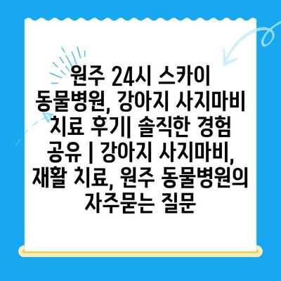 원주 24시 스카이 동물병원, 강아지 사지마비 치료 후기| 솔직한 경험 공유 | 강아지 사지마비, 재활 치료, 원주 동물병원