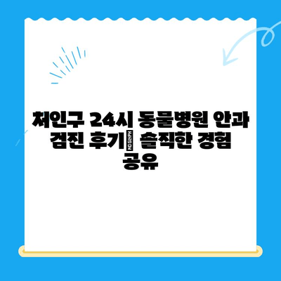 처인구 동물병원 24시 강아지 안과 검진 후기| 솔직한 경험 공유 | 안과 검진, 눈 질환, 24시 동물병원