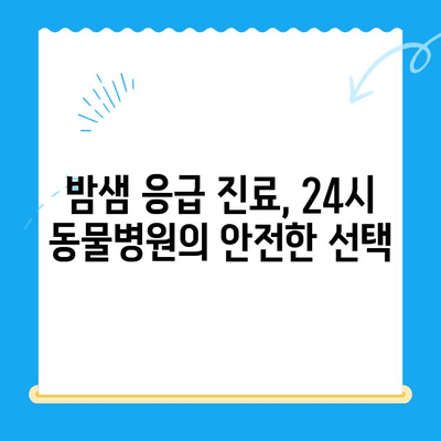 처인구 동물병원 24시 강아지 안과 검진 후기| 솔직한 경험 공유 | 안과 검진, 눈 질환, 24시 동물병원