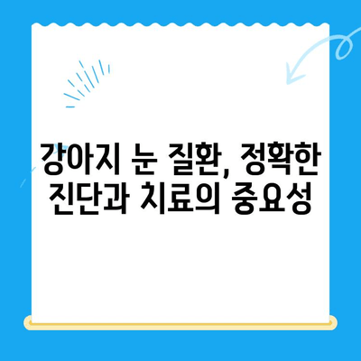 처인구 동물병원 24시 강아지 안과 검진 후기| 솔직한 경험 공유 | 안과 검진, 눈 질환, 24시 동물병원