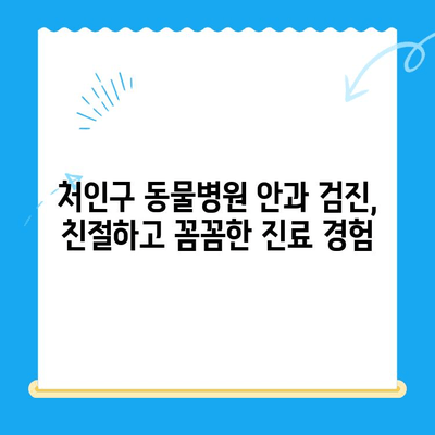 처인구 동물병원 24시 강아지 안과 검진 후기| 솔직한 경험 공유 | 안과 검진, 눈 질환, 24시 동물병원