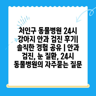 처인구 동물병원 24시 강아지 안과 검진 후기| 솔직한 경험 공유 | 안과 검진, 눈 질환, 24시 동물병원