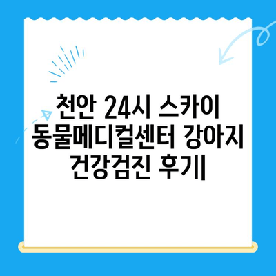 천안 24시 스카이 동물메디컬센터 강아지 건강검진 비용 & 후기| 꼼꼼한 검진부터 따뜻한 케어까지 | 천안 동물병원, 강아지 건강검진, 24시 동물병원, 스카이 동물메디컬센터, 비용, 후기