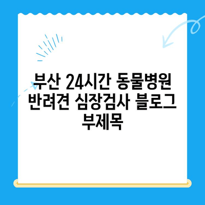 부산 24시간 동물병원 반려견 심장검사| 긴급 상황 대처 가이드 | 심장병, 응급 진료, 24시 동물병원, 부산