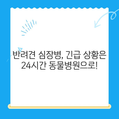 부산 24시간 동물병원 반려견 심장검사| 긴급 상황 대처 가이드 | 심장병, 응급 진료, 24시 동물병원, 부산