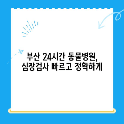 부산 24시간 동물병원 반려견 심장검사| 긴급 상황 대처 가이드 | 심장병, 응급 진료, 24시 동물병원, 부산