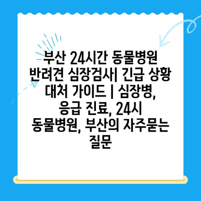 부산 24시간 동물병원 반려견 심장검사| 긴급 상황 대처 가이드 | 심장병, 응급 진료, 24시 동물병원, 부산